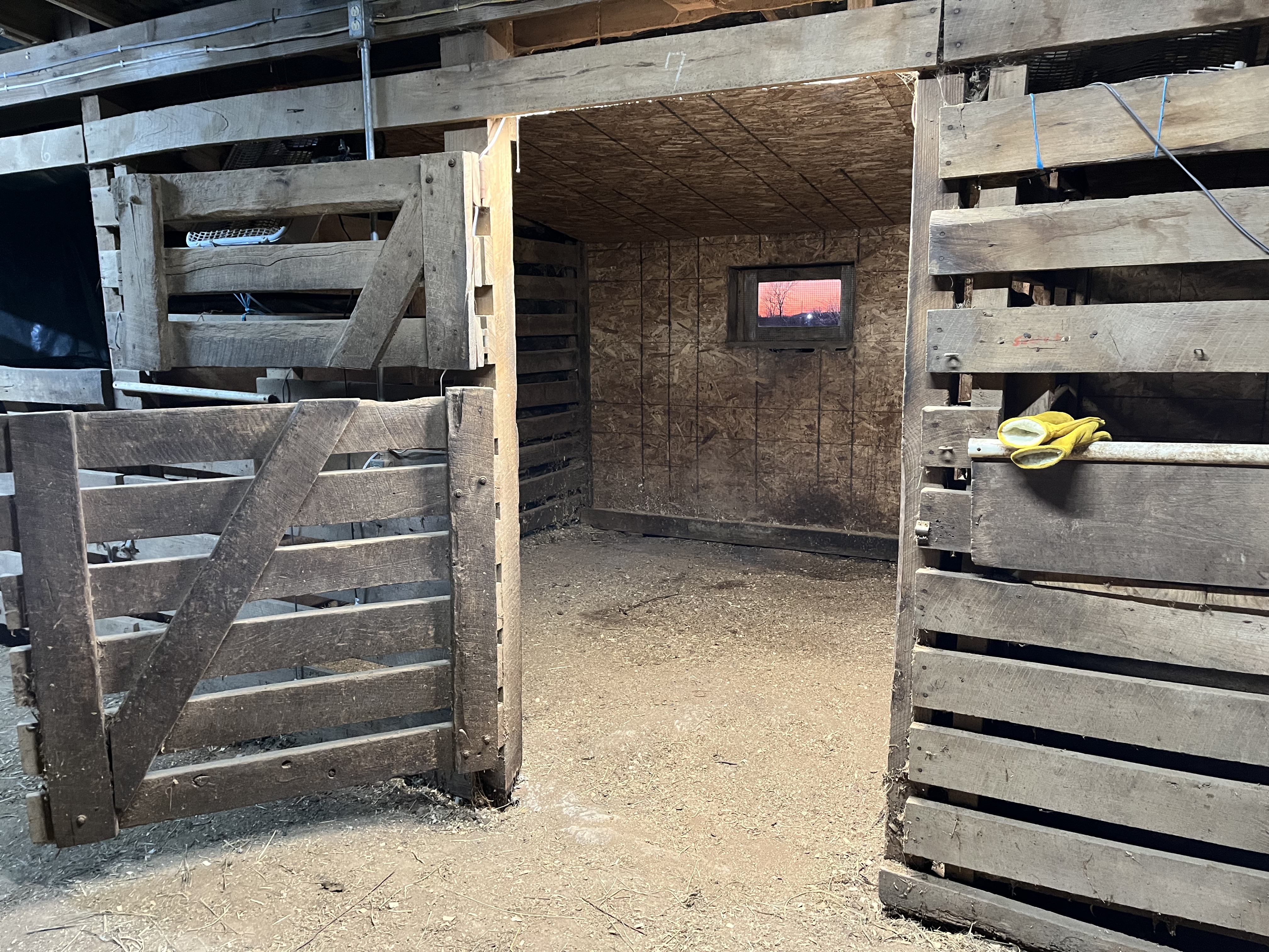 Horse stall